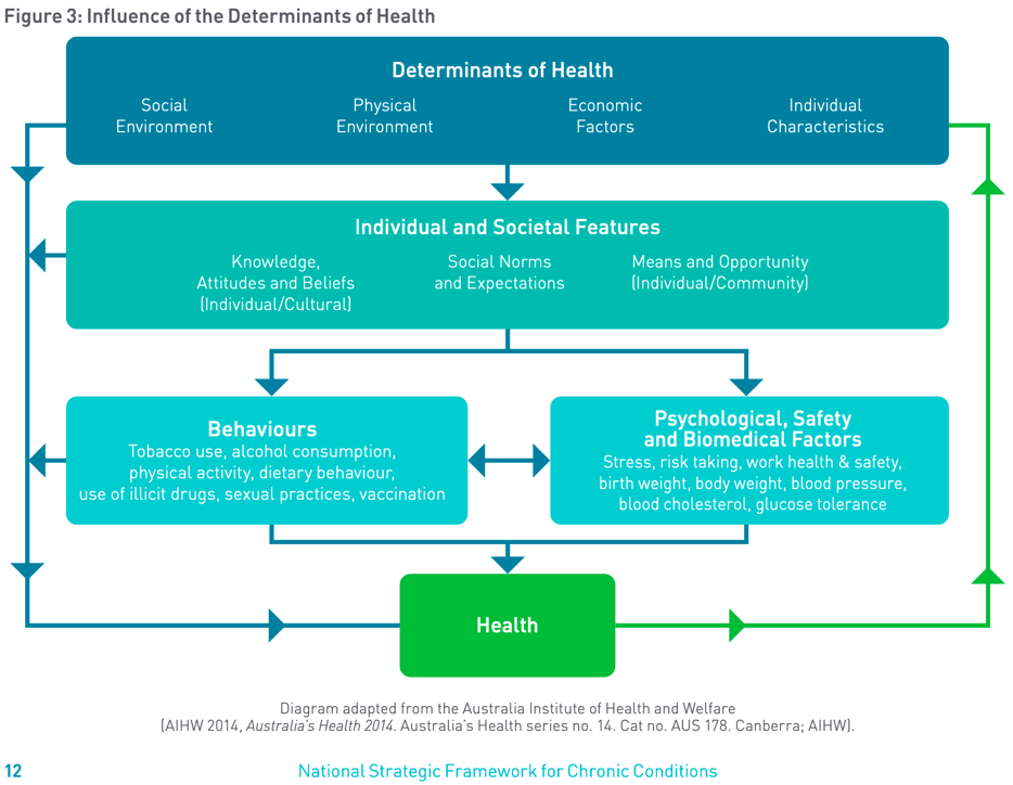 Chronic Health Conditions - Optimum Intake